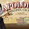 Apolodor, pinguinul călător